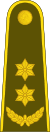 17-Lithuania Army-LTC.svg