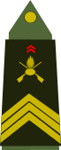 insignia with three chevrons