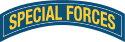 Einzelbild Special Forces (Special Forces Insignia).svg