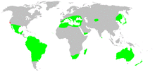 Distribution.zoropsidae.1.png
