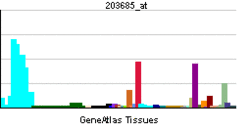 PBB GE BCL2 203685 at.png