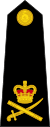 British Royal Marines OF-8.svg