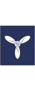 British RAF OR-2b.svg