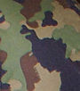 TAZ 90 Camo pattern.jpg