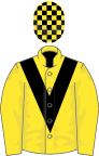 Yellow, black chevron, check cap