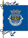 Flag of Castelo de Paiva
