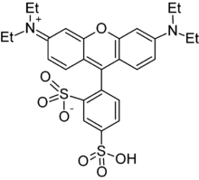 Sulforhodamine B