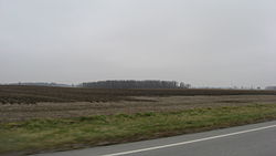 Fields in eastern Liberty Township