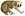 Nycticebus (white background).jpg