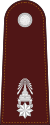 RTP OF-3 (Police Major).svg