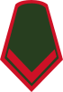 Colombia-Army-OR-3.svg