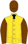 Yellow, chocolate sleeves and cap