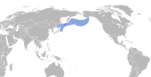 Aethia cristatella map.svg