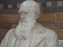 Statue of Darwin in Natural History Museum, London