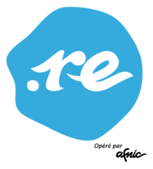 DotRe domain logo.png