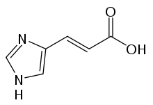 Urocanic acid.svg