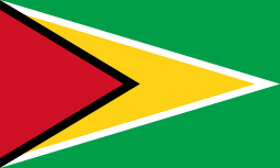 Flag of Guyana.svg