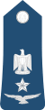 Egypt Air Force - OF04.svg