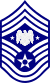USAF Senior Enlisted Advisor for the National Guard Bureau.svg