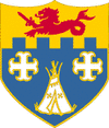 12 Infantry Regiment DUI.png