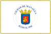 Flag of Managua