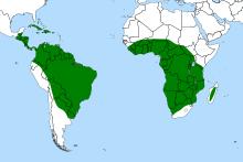 Genlisea distribution.svg
