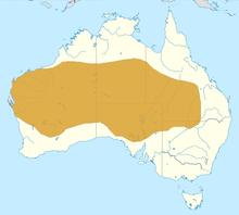 Sandy inland mouse distribution.png