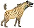 Pachycrocuta brevirostris restoration.jpg