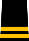 VFRS Battalion Chief.png