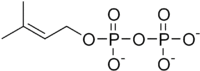 Skeletal formula