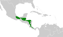 Cotinga amabilis map.svg