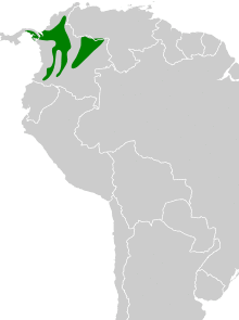 Forpus conspicillatus map.svg