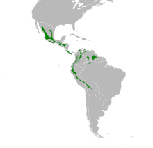 Myioborus miniatus map.svg
