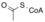 Acetyl co-A wpmp.png