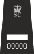 SSGT with Crowns no prefix.svg