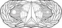 USAF - Occupational Badge - Space and Missile.svg