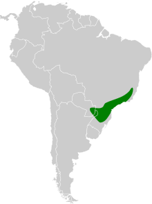 Anabacerthia amaurotis map.svg
