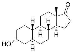 19-Norandrosterone.svg