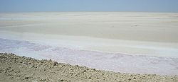 Djerid3.jpg