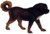 Tibetan mastiff (transparent background).png