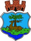 Coat of arms of Ryn