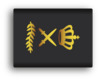 Ranks Dutch police wikimedia by venturedesign 300dpi Hoofdcommissaris.png