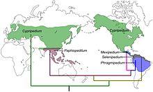 Cypripedioideae - Distribution map - journal.pone.0038788.jpg