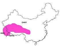 WYSTEPOWANIE SOJECZKI MALEJ.jpg