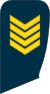 09-Lithuania Air Force-STSG.svg