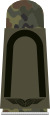 LA OS5 21a Fahnenjunker.svg