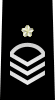 JMSDF Petty Officer 1st Class insignia (b).svg