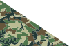 Flag of the Israeli Kfir Brigade.svg