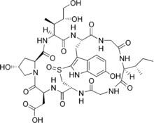 Beta-amanitin structure.png