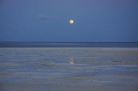 Tubbataha Reefs Natural Park-112053.jpg